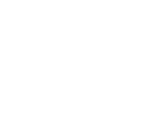 SCIRNEX